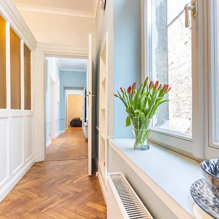 Apartament Vintage Bracka