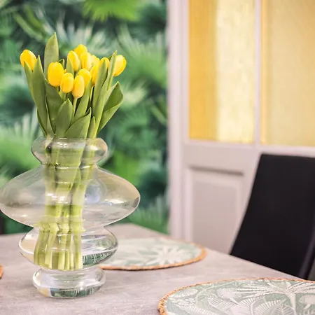 Vintage Bracka Apartment