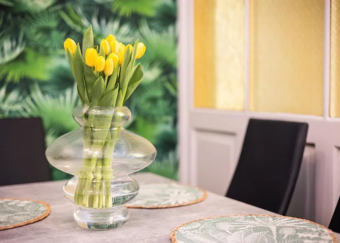 Vintage Bracka Appartement